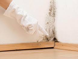 Environmental Consulting for Mold Prevention in Peppermill Village, MD